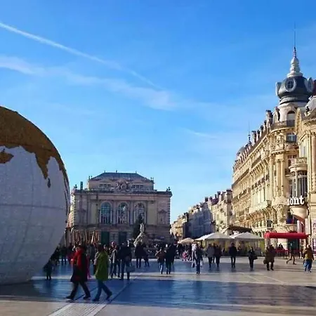 Kemping Mobil-home 4 **** Vic-la-Gardiole