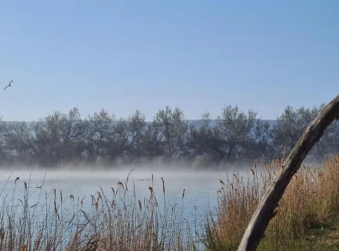 Mobil-home 4 **** Vic-la-Gardiole